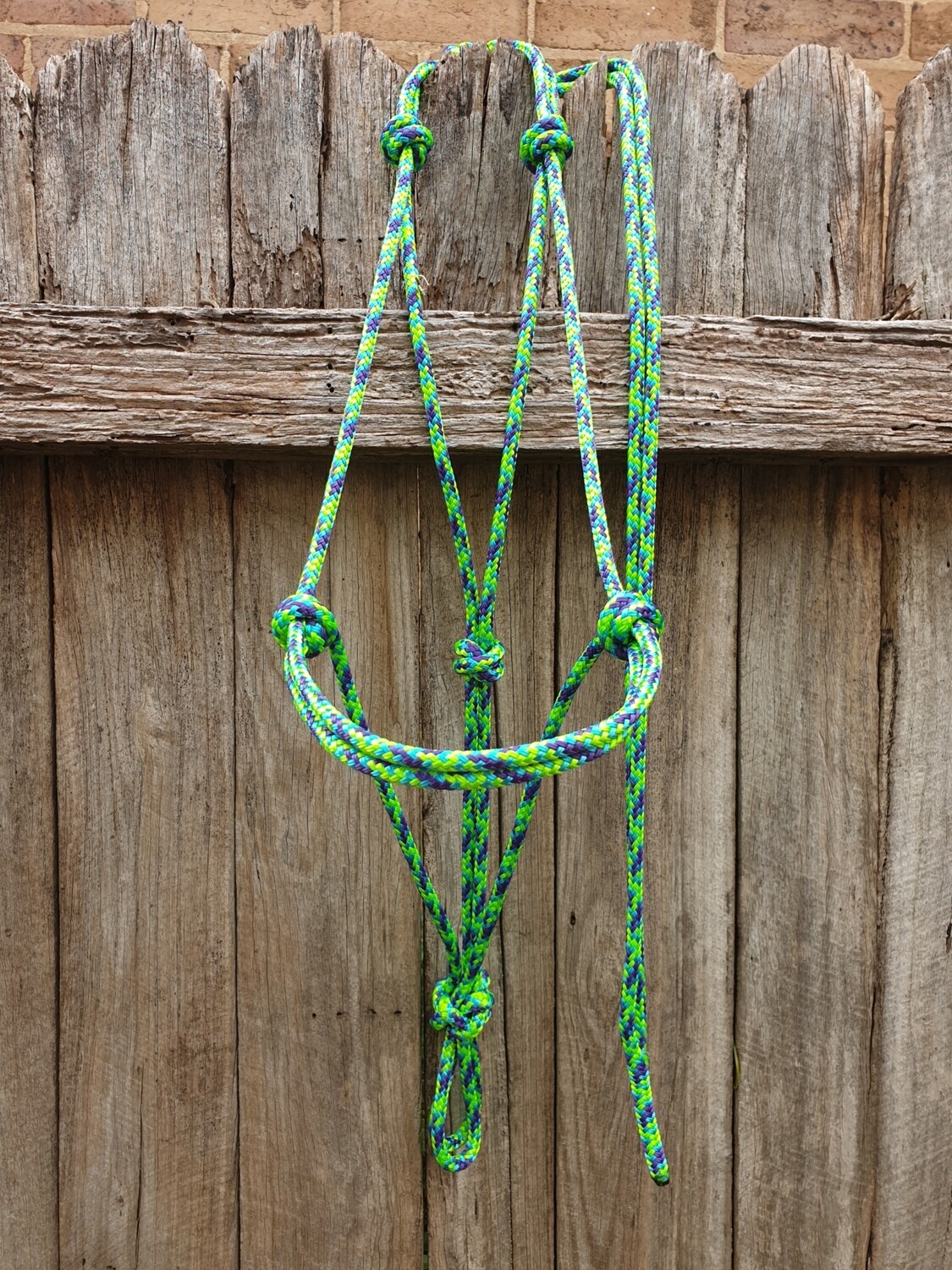 Aqua/Lime/Purple Rope Halter