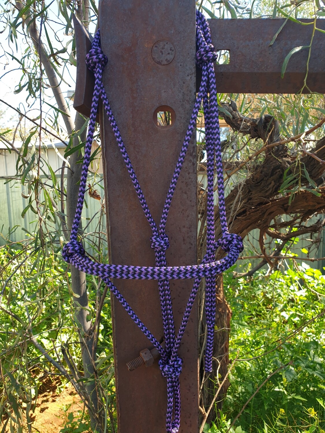 Purple/Black Zig Zag Rope Halter