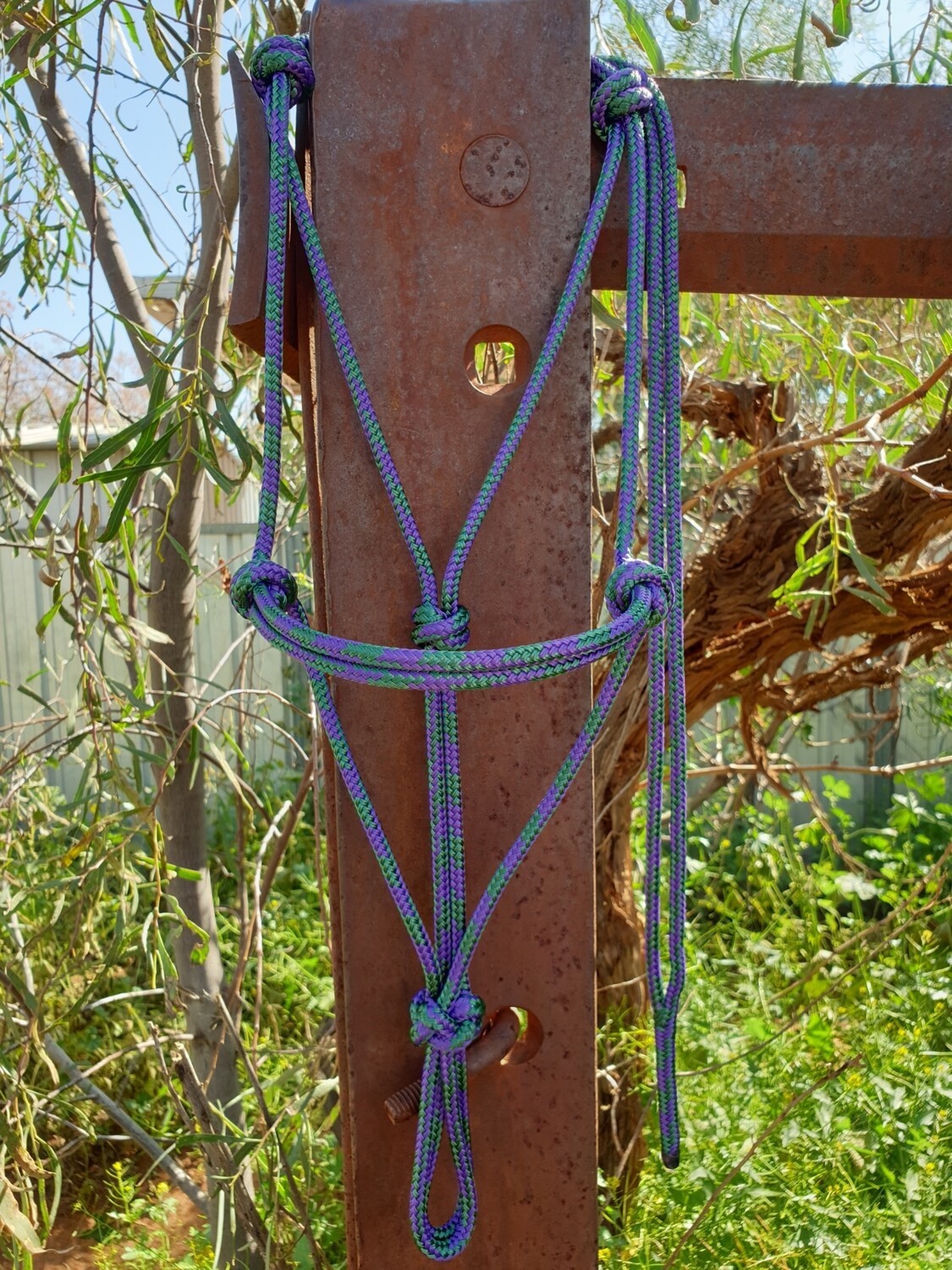 Hunter Green and Purple Rope Halter