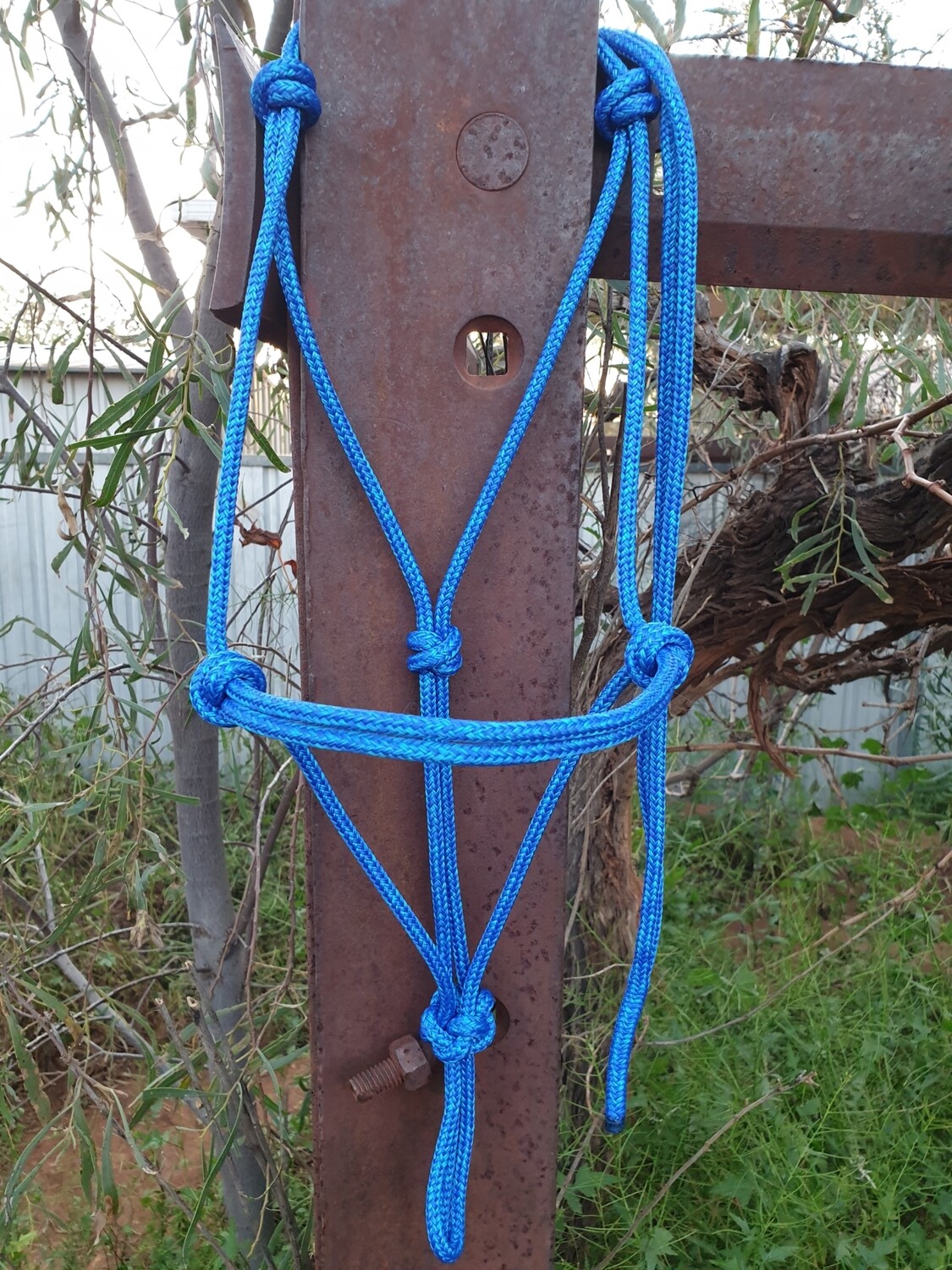 Mottled Royal Blue and Aqua Rope Halter