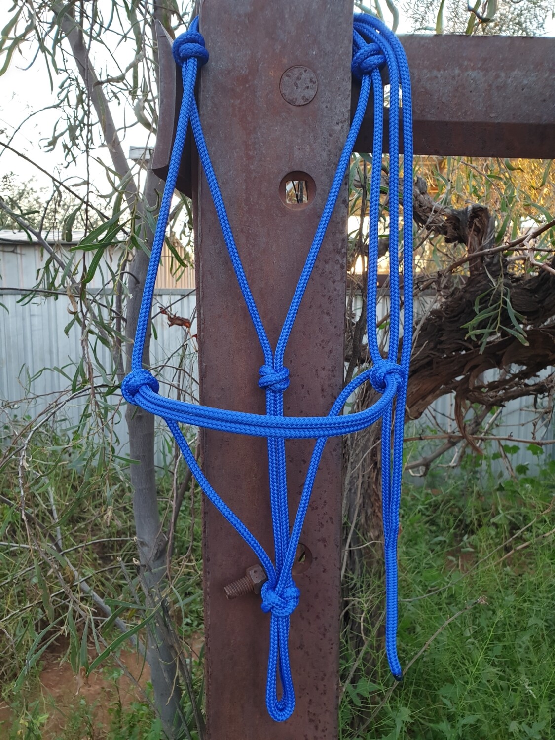 Royal Blue Rope Halter