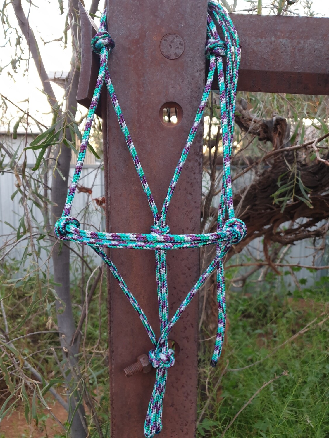 Mint/Plum/Silver Rope Halter