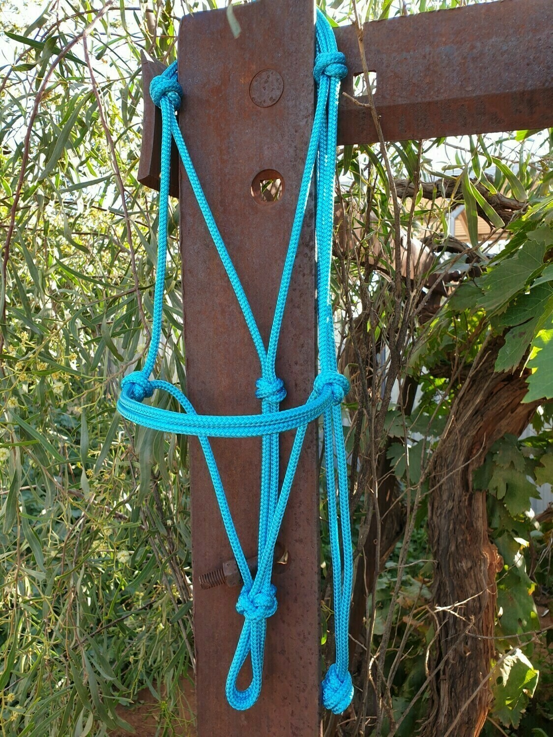 Aqua Rope Halter