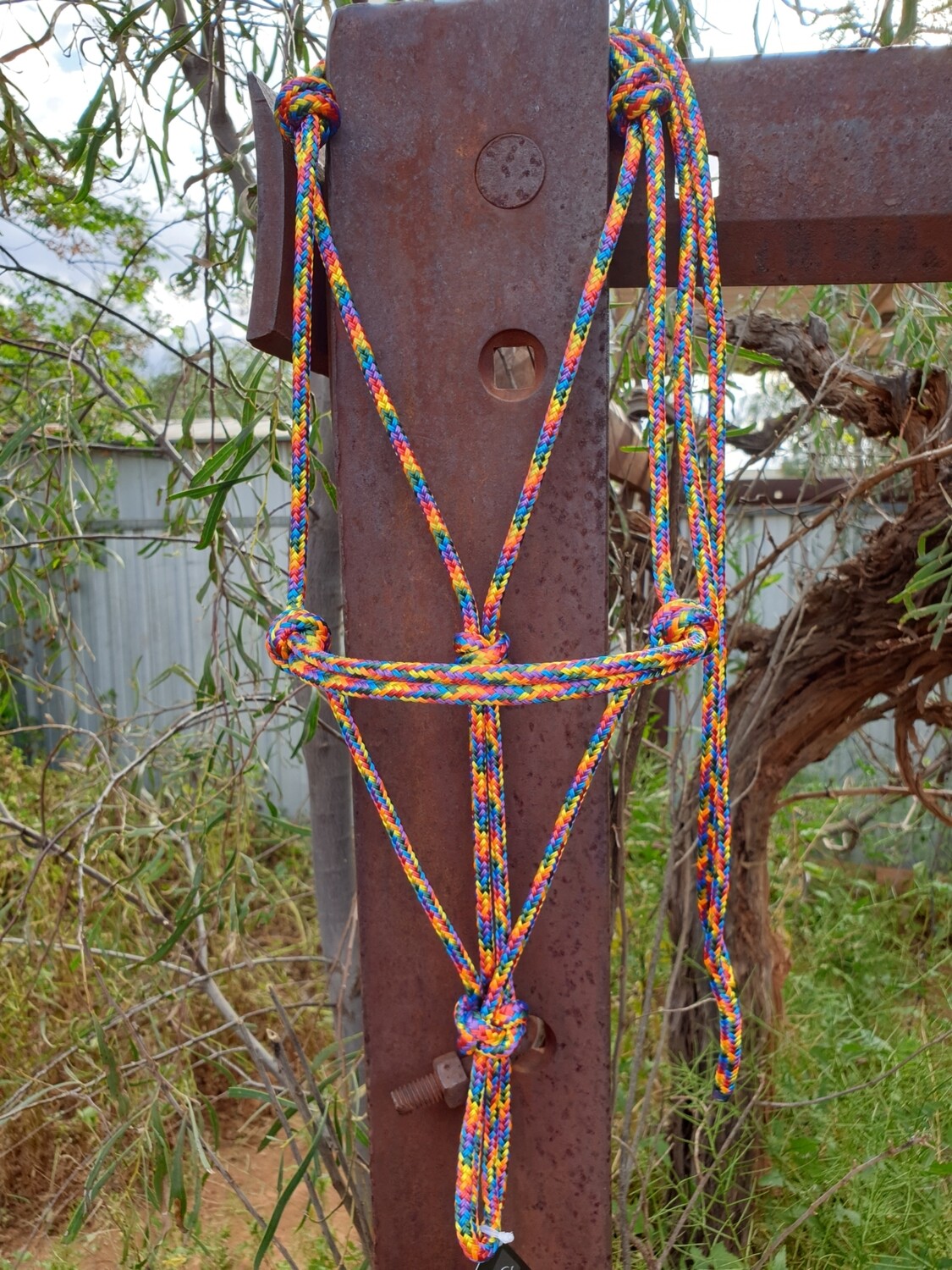 Bright Rainbow Rope Halter