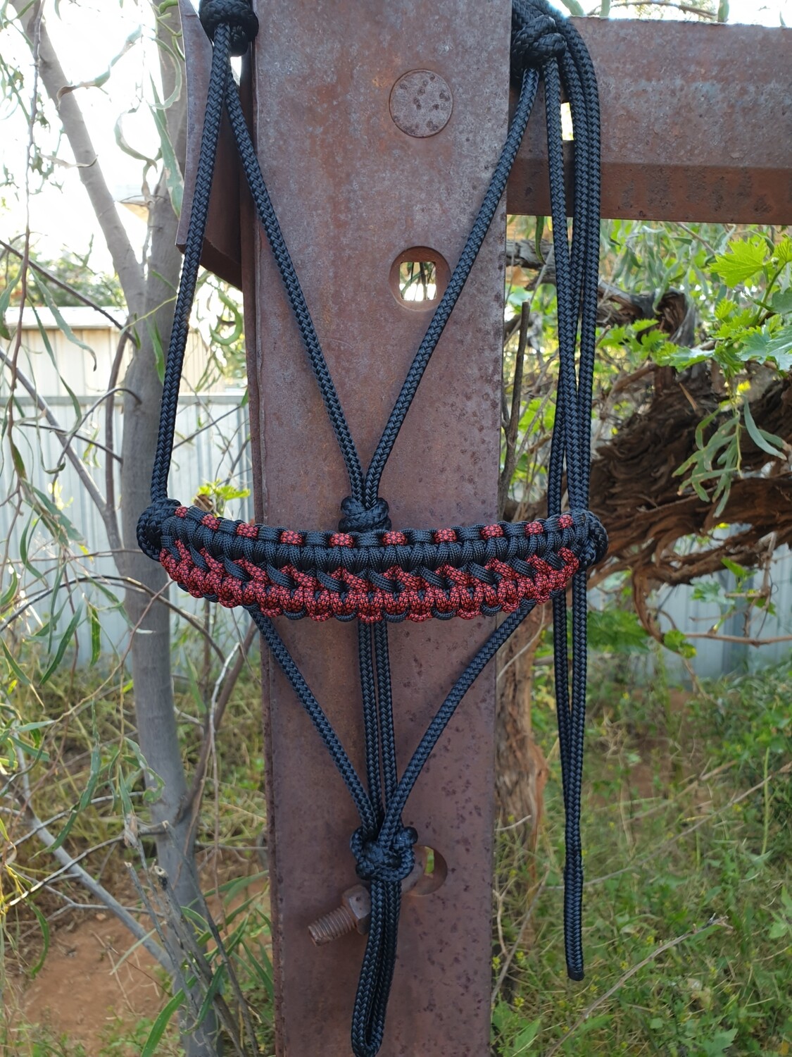Apollo Black/Red Diamonds Rope Halter
