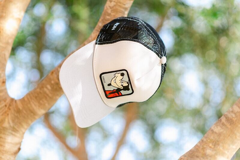 DINGO (GOOFY) Disney trucker Cap DINGO (GOOFY) Disney trucker Cap