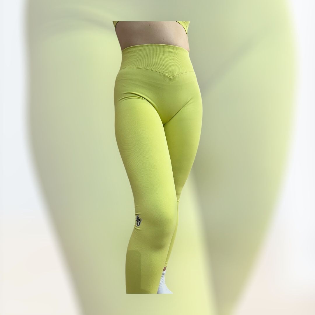 COLLECTOR Leggings – Sculpting, High-Rise Workout Leggings for Women | Hera Zeus