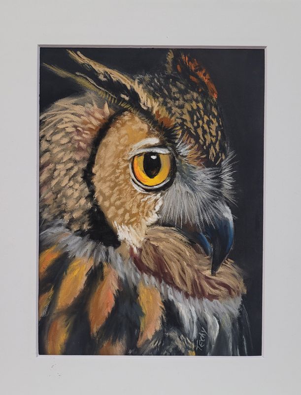 Owl