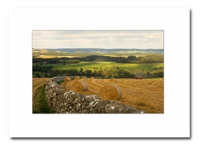 The Country Life