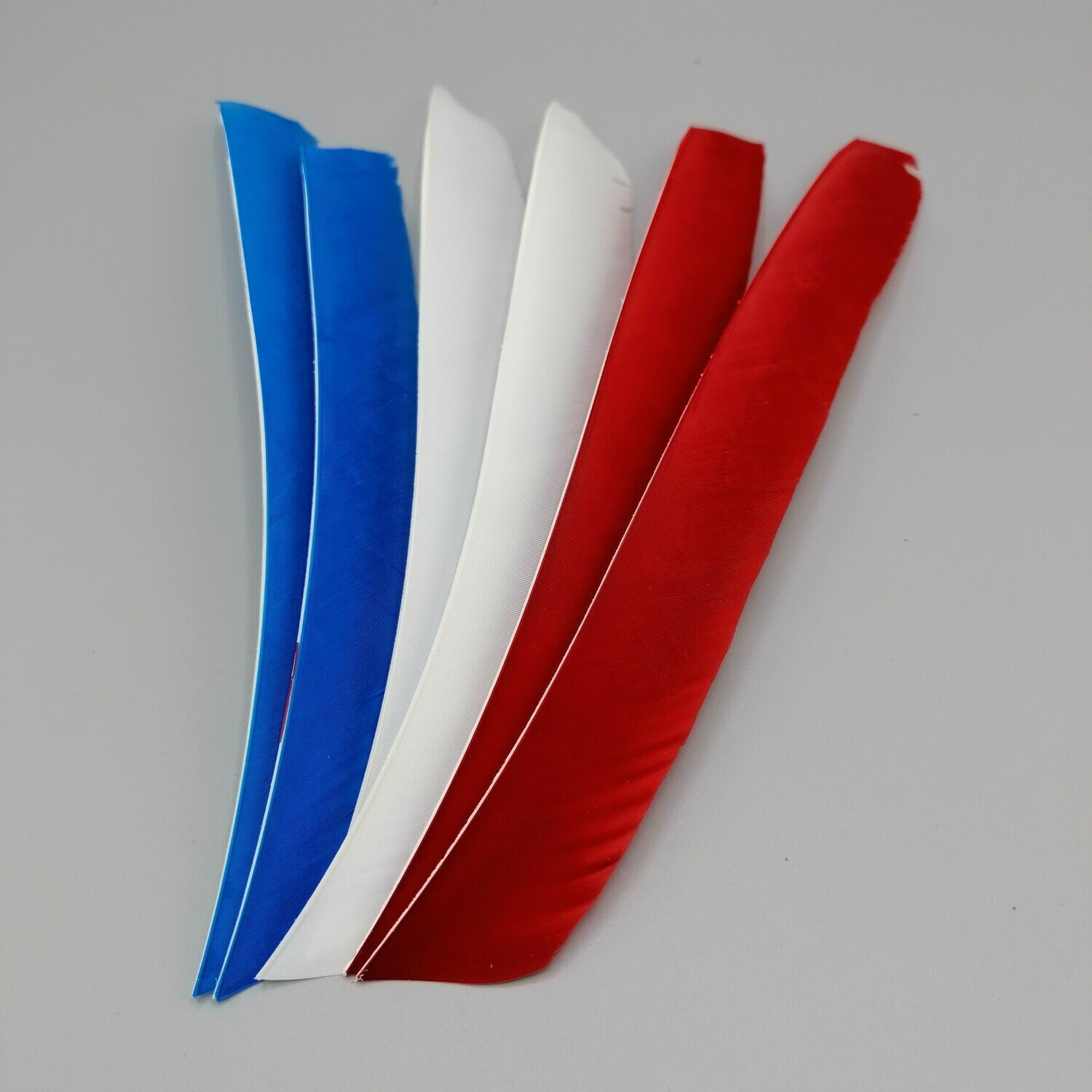 Plumes Entières Unis