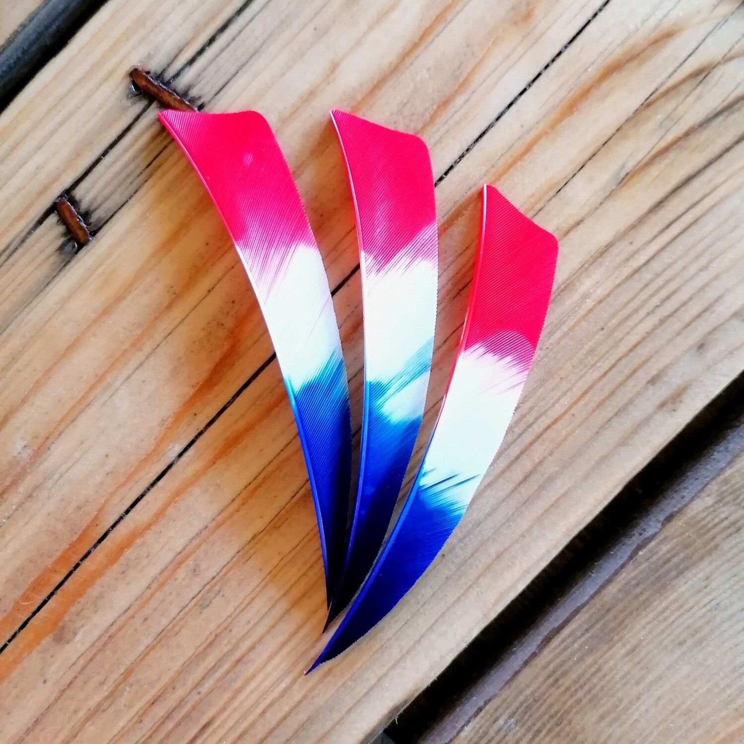 Plumes Shield France 4"