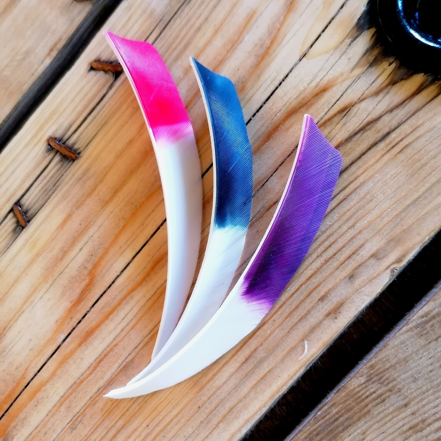 Plumes Shield Bi-Color 5"