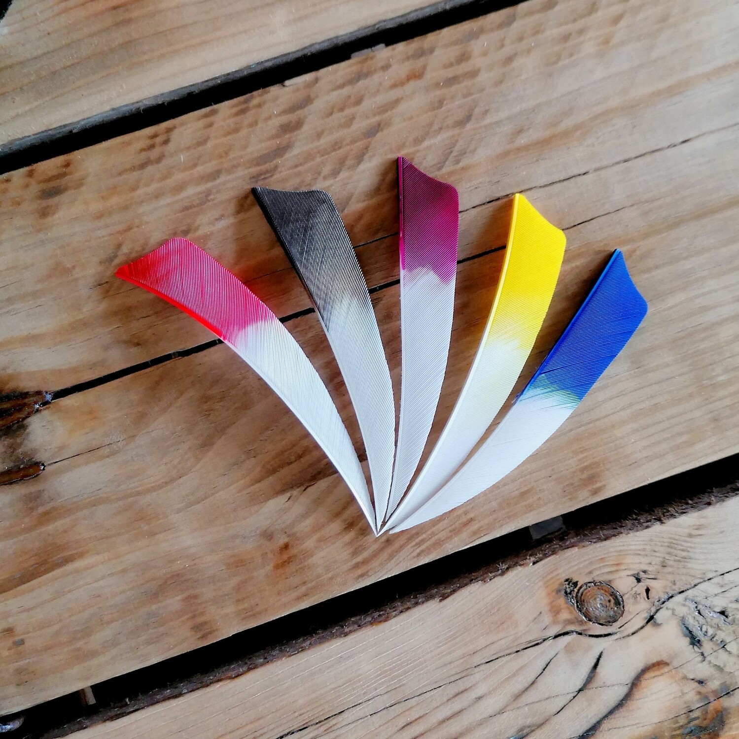 Plumes Shield Bi-Color 4"