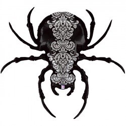 Pretty Scary Spider