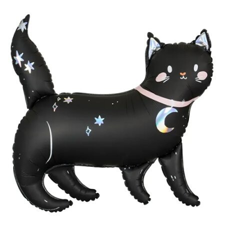 Magical Black Cat