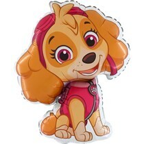 Paw Patrol Skye New Supershape