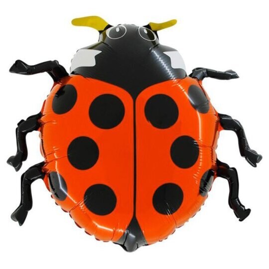 Ladybird Balloon