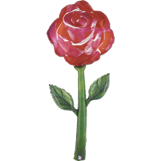 Watercolour Rose Balloon