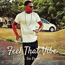 Feel That Vibe - Sir Frost