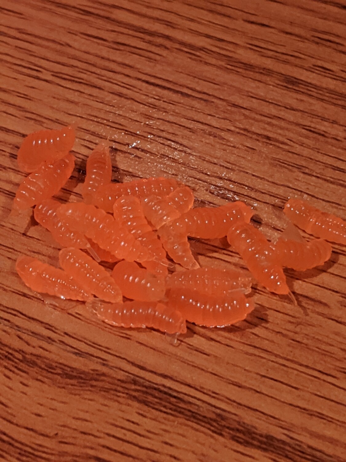Waxies