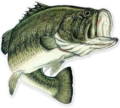 BASS BAITS