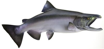 SALMON SOFT BEADS