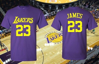 NBA Los Angeles Lakers Lebron James, Davis, Horry, Artest Jersey style T-Shirt