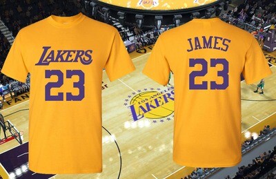 NBA Los Angeles Lakers Lebron James, Davis, Horry, Artest Jersey style T-Shirt