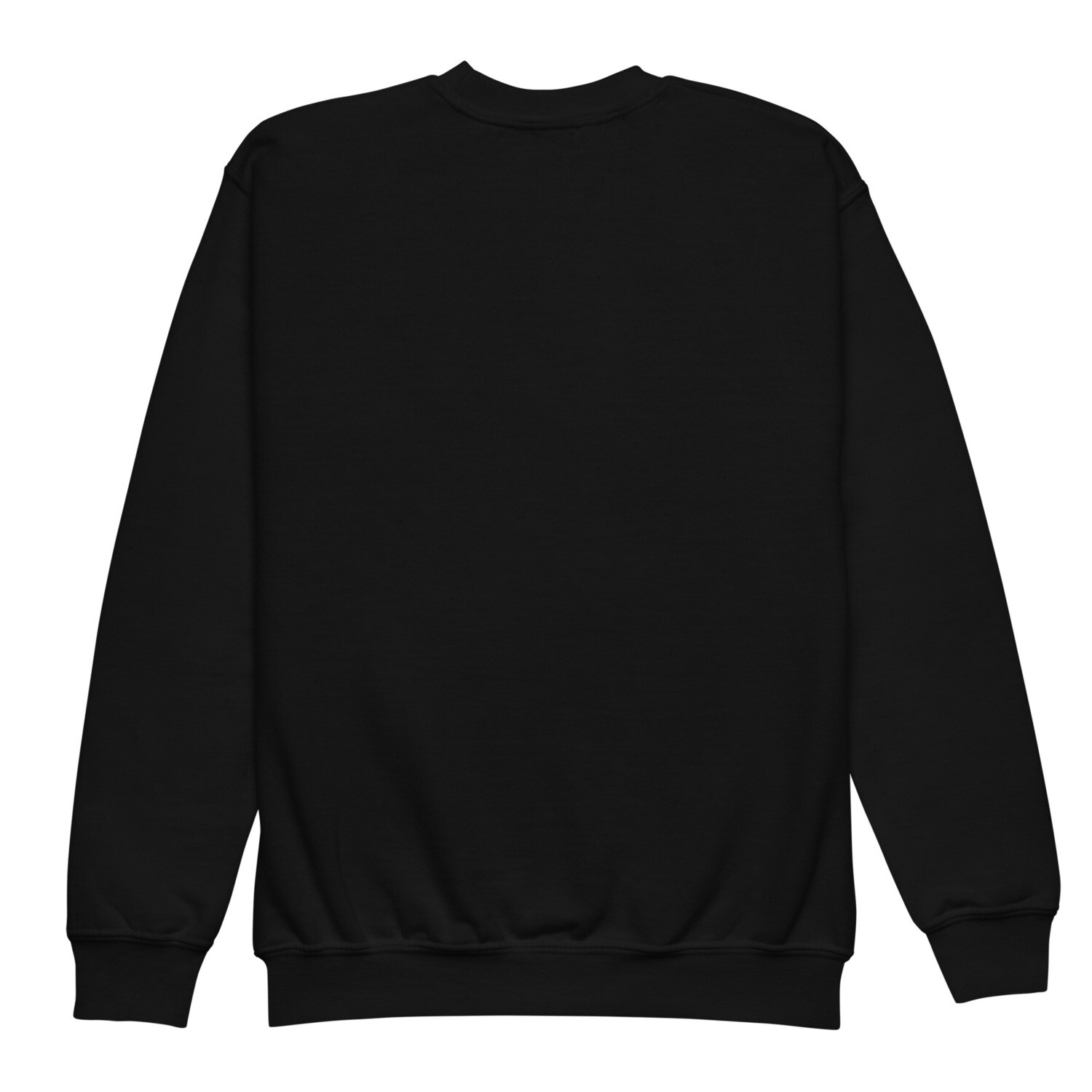 Swiezy Youth crewneck sweatshirt