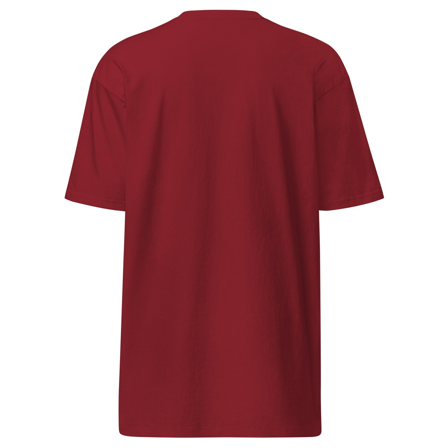 Swiezy premium heavyweight tee