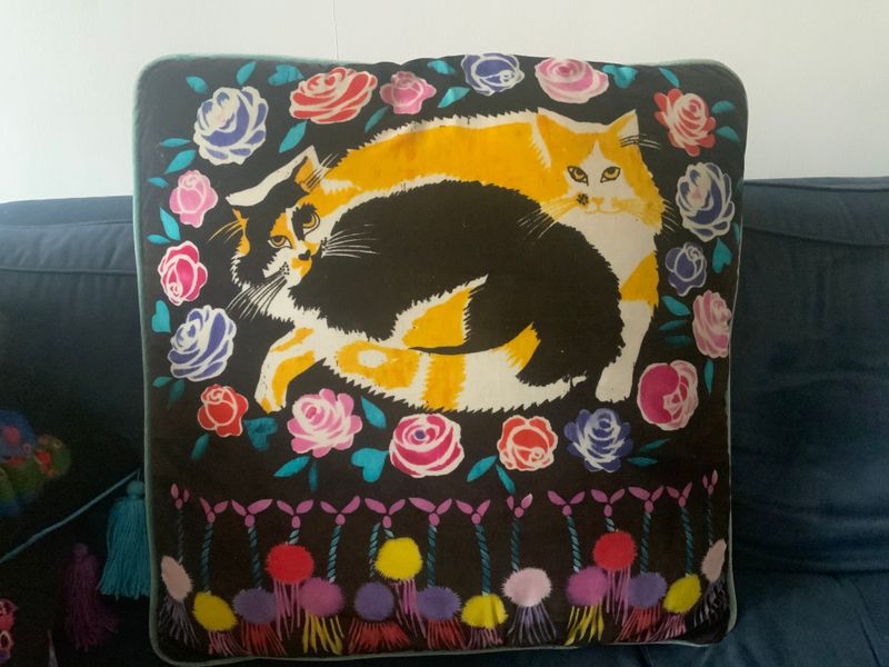 Nat The Cat 60cm x 60cm Cushion cover