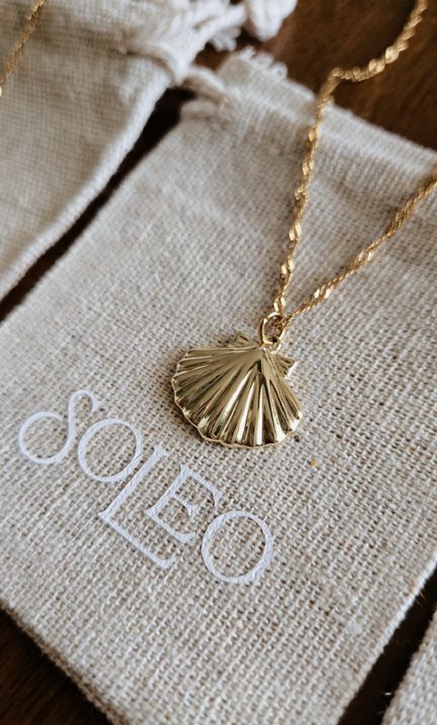 Seashell Necklace 