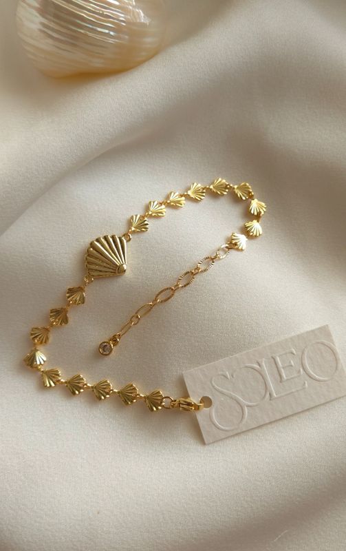 Costa Dorada - Vieira Seashell Bracelet 