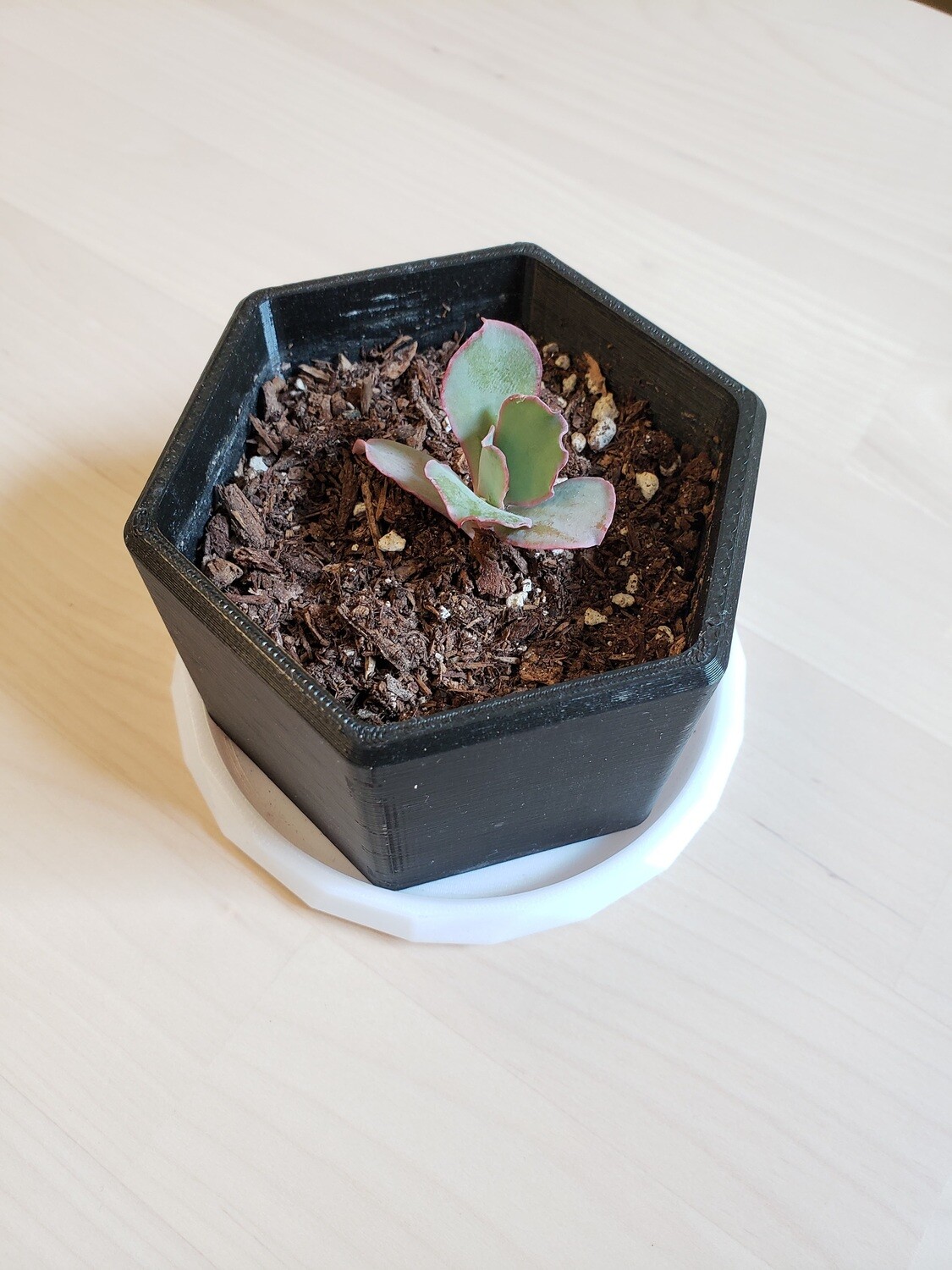 Hector Planter, Black Combo [PICKUP/DELIVERY ONLY]