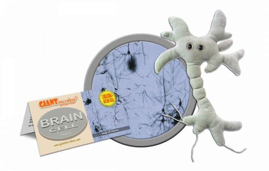 Brain Cell (Neuron), Original 5-7'' Plush