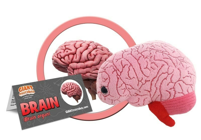 Brain Organ, Original 5-7'' Plush