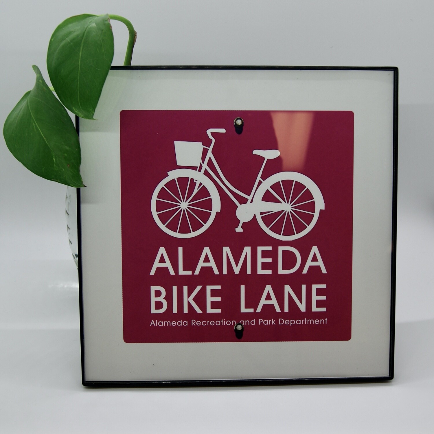 Alameda Bike Lane #01 6x6 Print Framed v.2