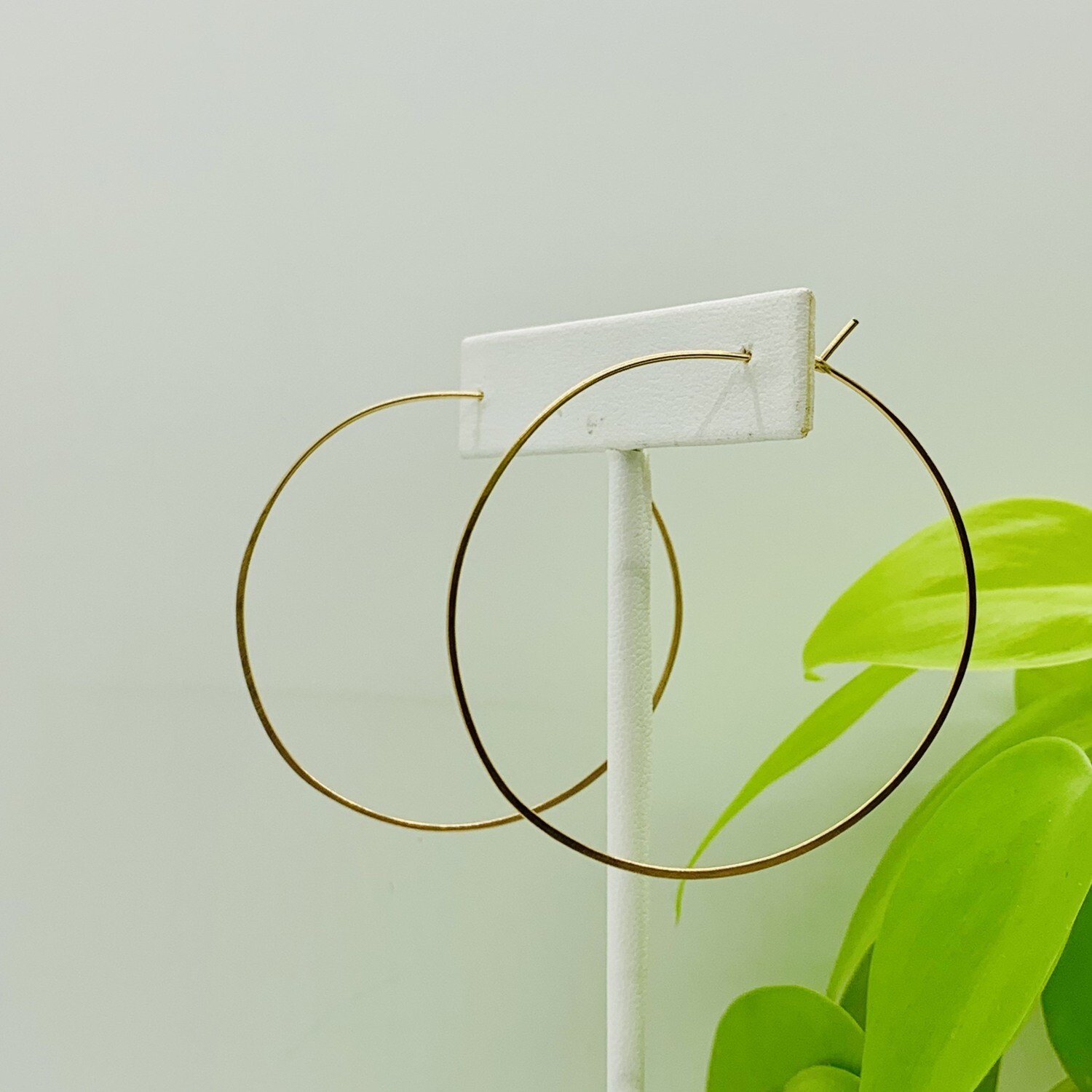 13012 Hoops-gold-round (L)