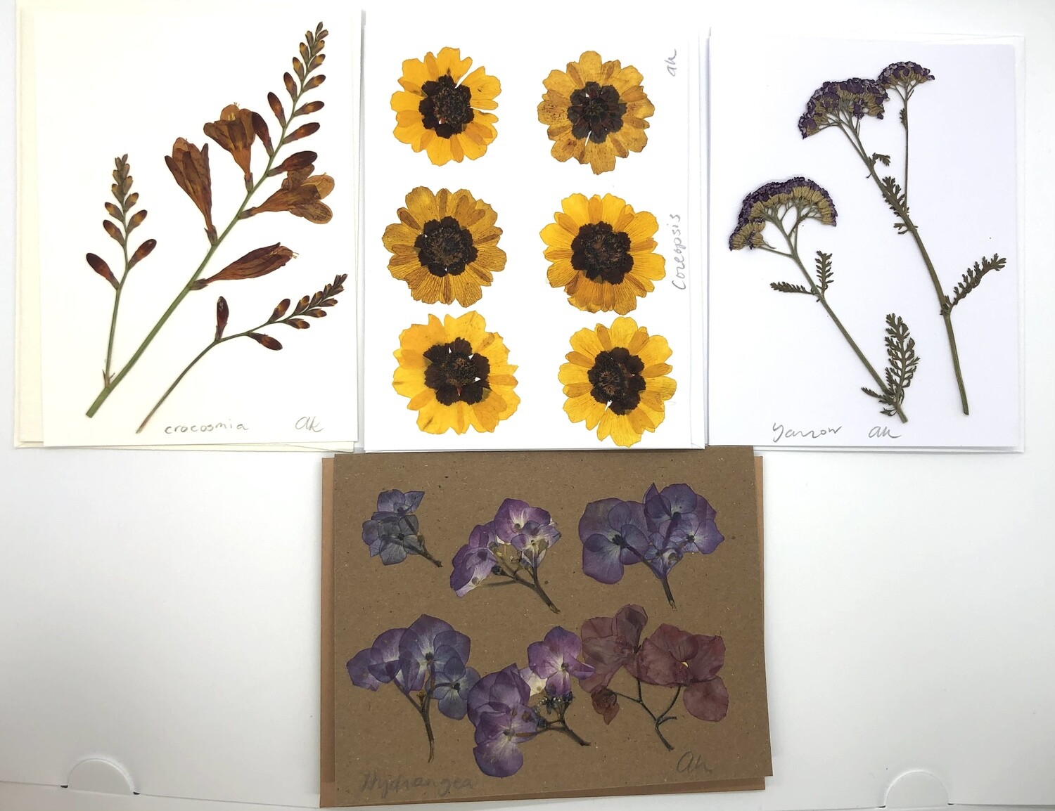 Flower Card (4x6), Set/4 - Variety 