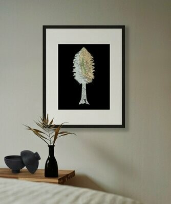 Be Giant Redwood Tree, 11x14 Poster