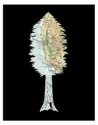 Be Giant Redwood Tree, 11x14 Poster Be Giant Redwood Tree, 11x14 Poster