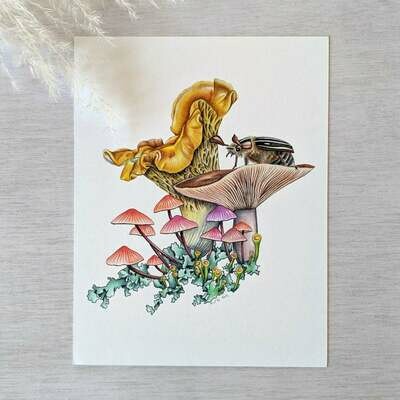 Miniature World (mushroom), 8.5x11 Print