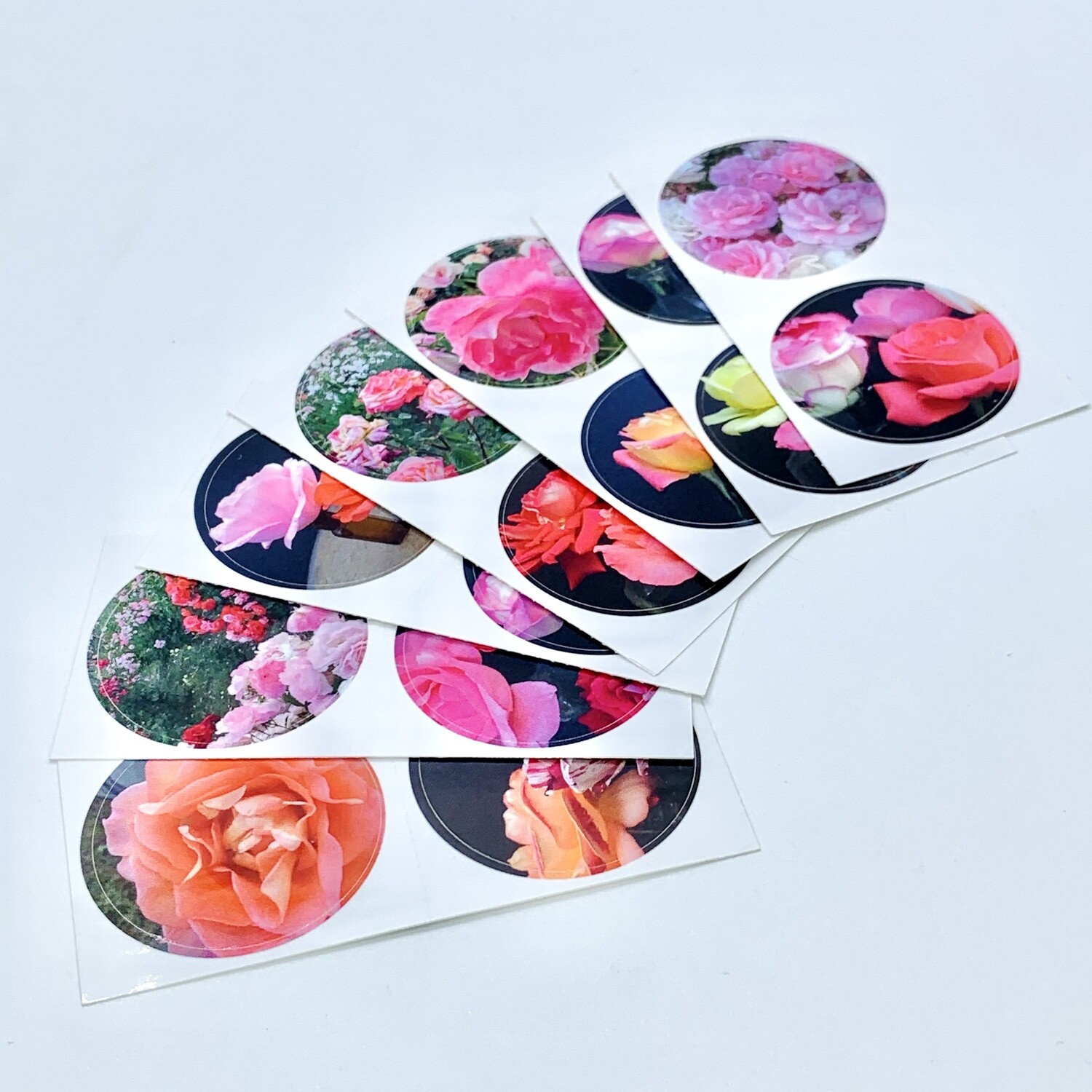 DELETE - Rose Photo Sticker Set/14