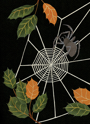 5x7 Print: Spider of Oakland Ave.