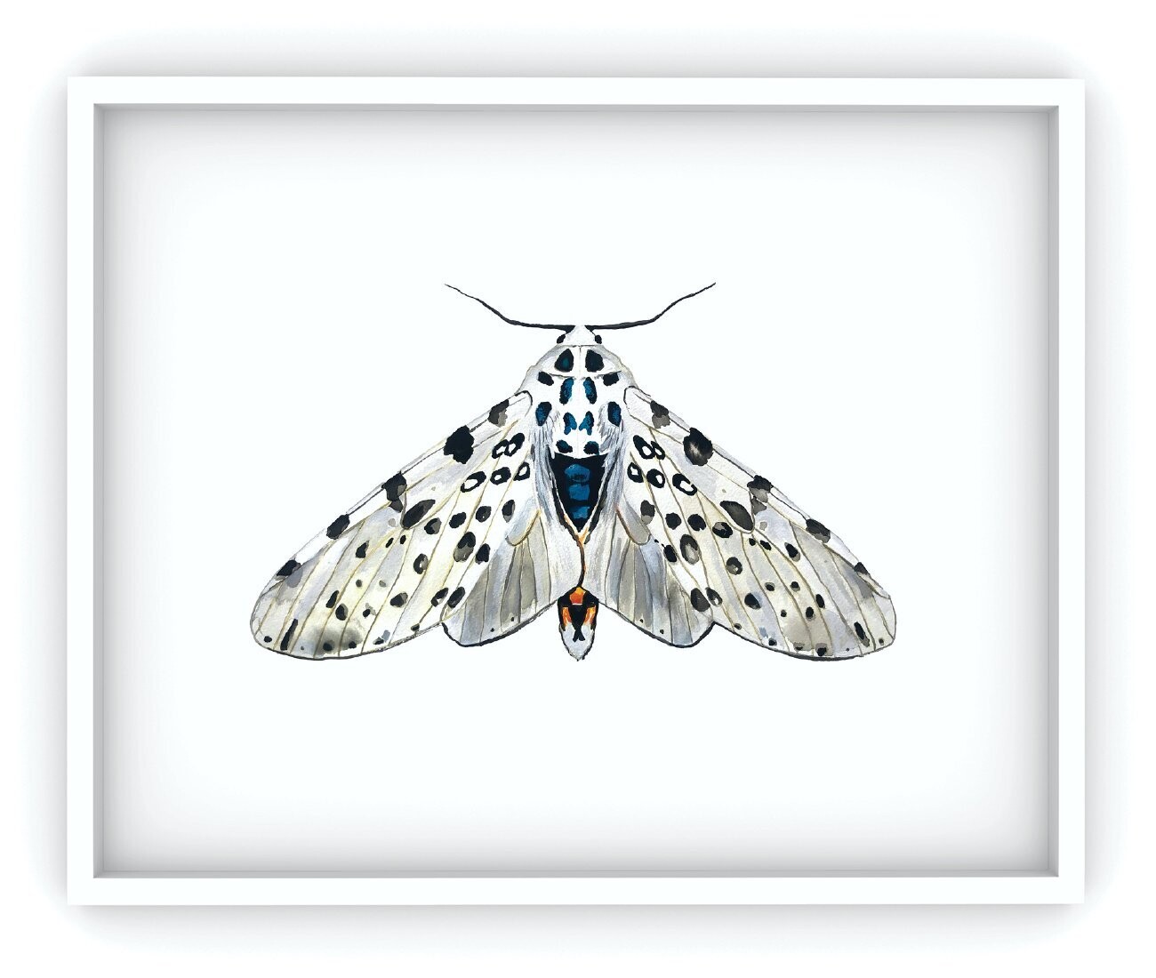 Moth #3 Art Print, White (MO-ST-003)