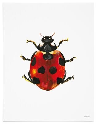 Ladybug Art Print (IN-PR-001)