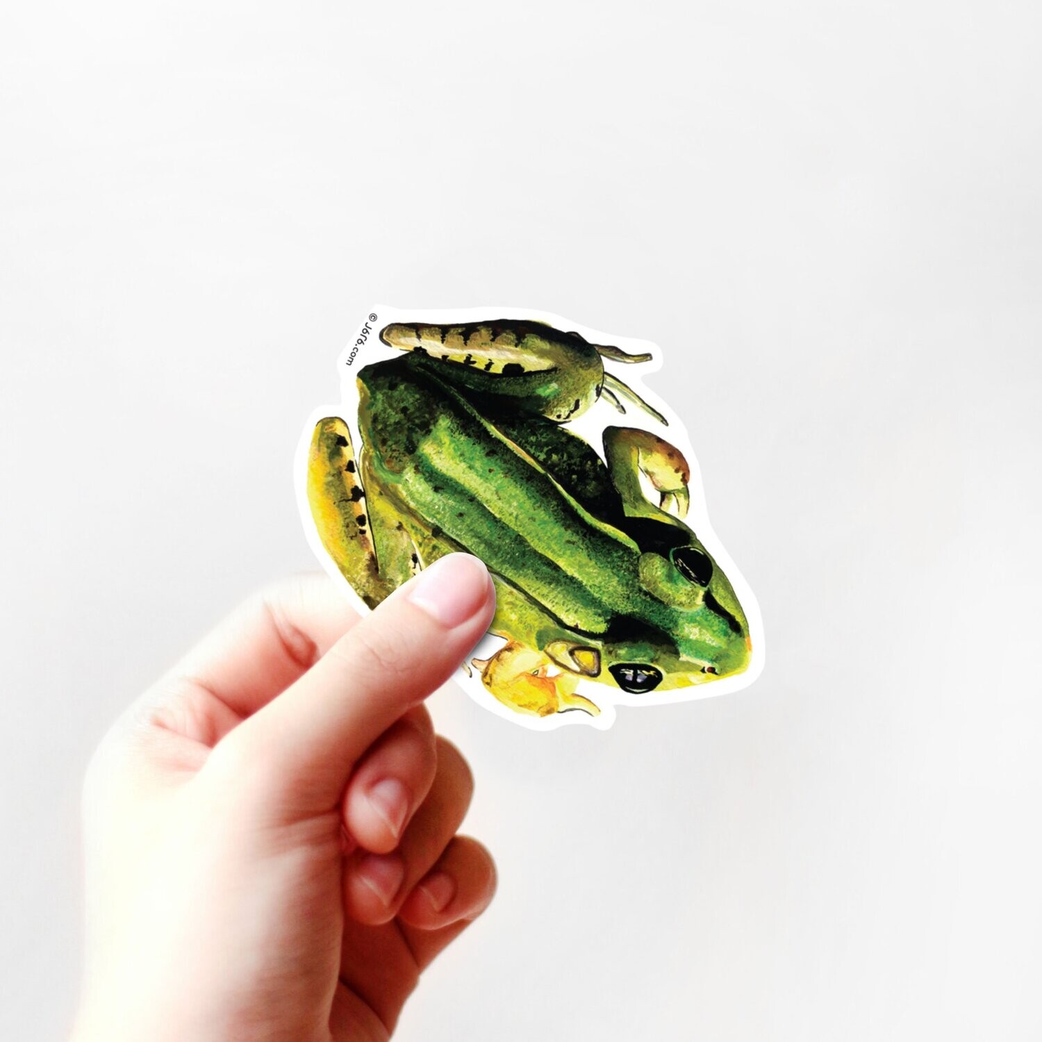 Frog Vinyl Sticker (RE-ST-001)