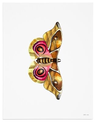 Moth #1 Art Print, Ochre/Pink (MO-PR-001)