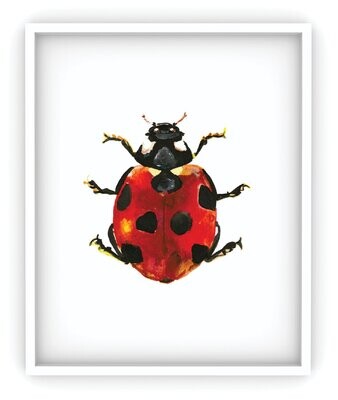 Ladybug Art Print (IN-PR-001) Ladybug Art Print (IN-PR-001)