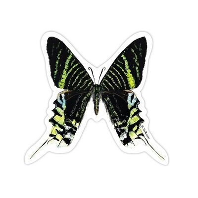 Moth #7 Vinyl Sticker (MO-ST-007)